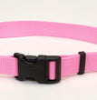 Coastal Adjustable Nylon Dog Collar with Plastic Buckle Bright Pink 1ea/1 In X 18-26 in