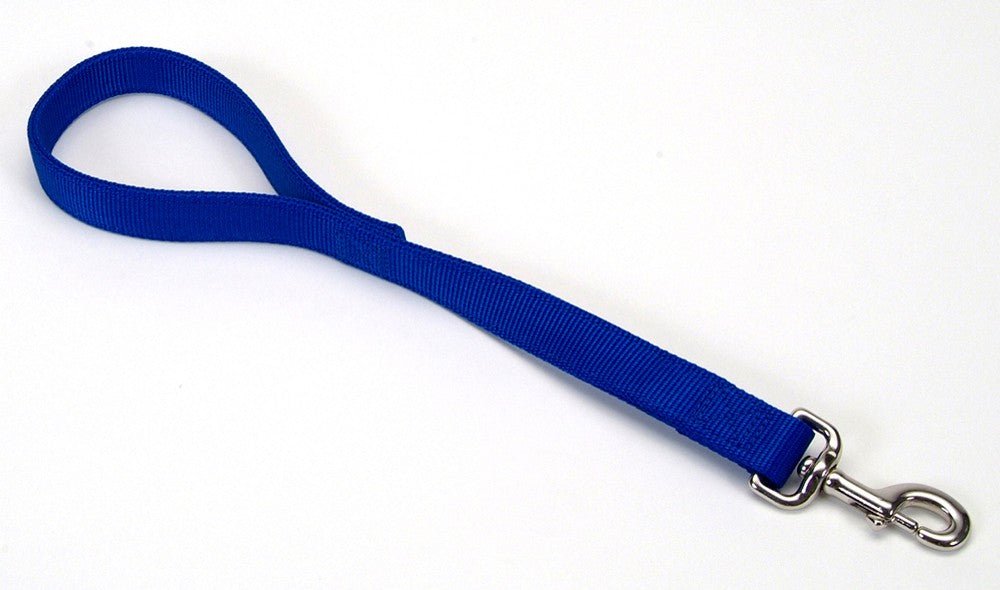 Coastal Double-Ply Nylon Traffic Dog Leash Blue 1ea/1 In X 24 in for your Pet Dog with Pet Store X.