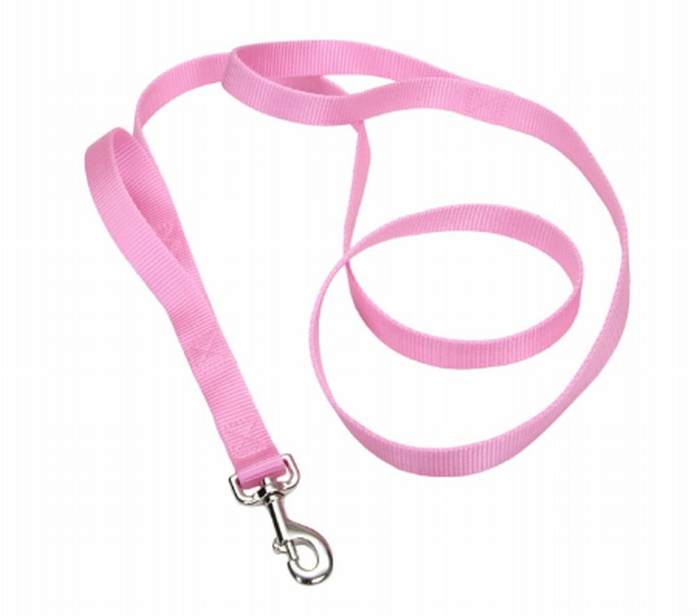 Coastal Single-Ply Nylon Leash Bright Pink1X6Ft