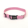 New Earth Soy Adjustable Dog Collar Rose 1ea/5/8 In X 8-12 in for your Pet Dog with Pet Store X.