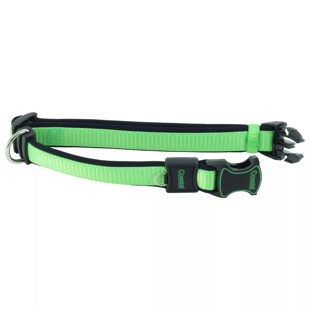 Inspire Adjustable Dog Collar Green 5/8 x 8-12in. XSmall