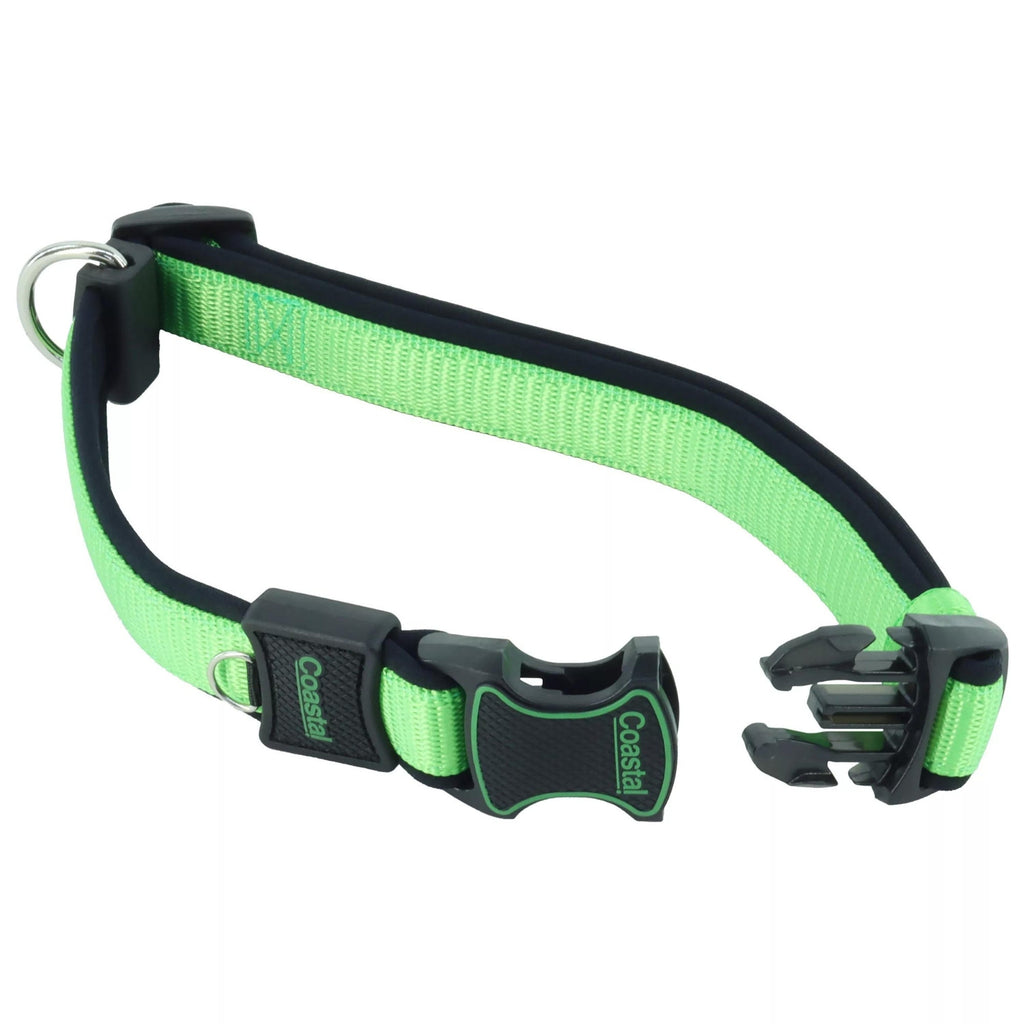 Inspire Adjustable Dog Collar Green 5/8 x 8-12in. XSmall