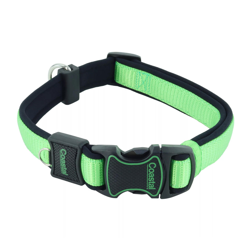 Inspire Adjustable Dog Collar Green 5/8 x 8-12in. XSmall