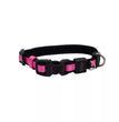 Inspire Adjustable Dog Collar Pink 5/8 x 8-12in. XSmall