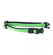 Inspire Adjustable Dog Collar Green 5/8 x 10-14in. Small