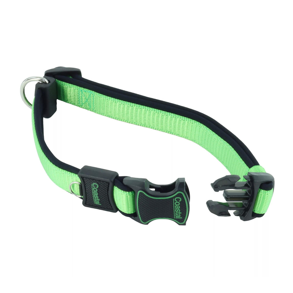 Inspire Adjustable Dog Collar Green 1 x 14-20in. Medium