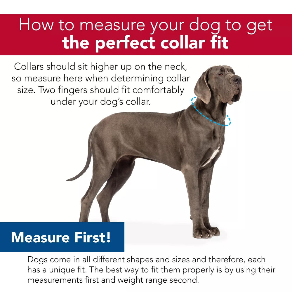 Inspire Adjustable Dog Collar Gray 1 x 18-26in. Large