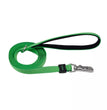 Inspire Dog Leash Green 5/8in. x 6ft. Small/Medium