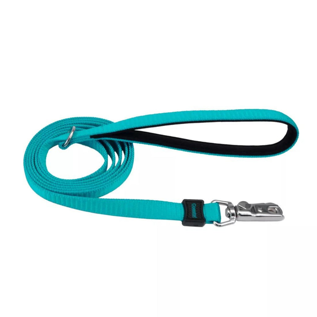 Inspire Dog Leash Aqua 1in. x 6ft. Medium/Large