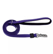 Inspire Dog Leash Purple 1in. x 6ft. Medium/Large