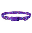 Styles Adjustable Dog Collar Purple Large 1 x 18-26 In