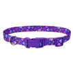 Styles Adjustable Dog Collar Purple Medium 3/4 x 14-20 In