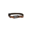 Coastal K9 Explorer 5/8 Inch Adj Collar Camp Fire Orange (10-14 Inch)