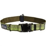 Coastal K9 Explorer 1 Inch Adj Collar Fern Green (18-26 Inch) for your Pet Dog with Pet Store X.