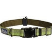 Coastal K9 Explorer 1 Inch Adj Collar Fern Green (12-18 Inch)