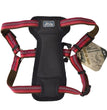 Coastal K9 Explorer 1 Inch Padded Harness Berry Red (20-30 Inch)