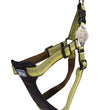 Coastal K9 Explorer 1 Inch Padded Harness Fern Green (20-30 Inch)