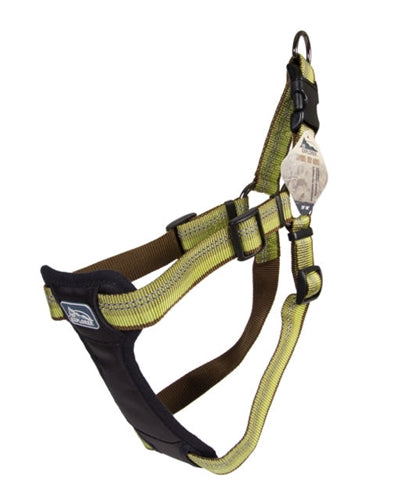 Coastal K9 Explorer 1 Inch Padded Harness Fern Green (20-30 Inch) for your Pet Dog with Pet Store X.