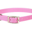 Coastal Single-Ply Nylon Dog Collar Pink Bright 1ea/5/8 In X 14 in for your Pet Dog with Pet Store X.