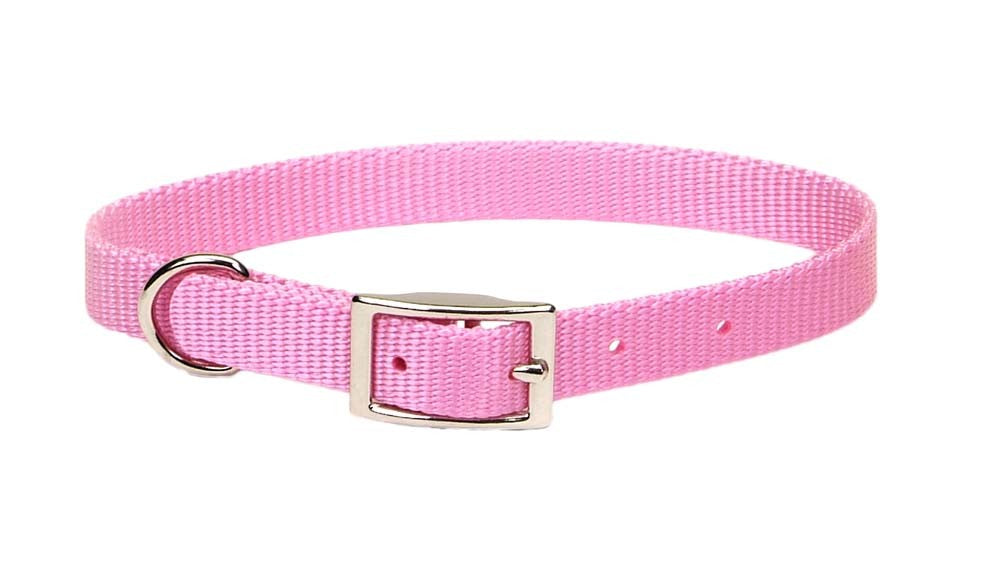 Coastal Single-Ply Nylon Dog Collar Pink Bright 1ea/5/8 In X 14 in for your Pet Dog with Pet Store X.