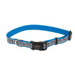 Lazer Brite Reflective Adjustable Dog Collar Turquoise 1ea/3/8 In X 8-12 in