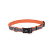 Lazer Brite Reflective Adjustable Dog Collar Orange 1ea/3/8 In X 8-12 in