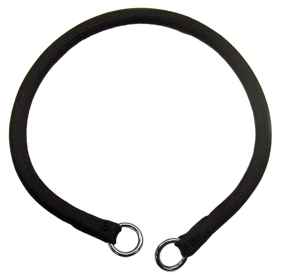 Coastal Round Nylon Training Dog Collar Black 1ea/3/8 In X 16 in for your Pet Dog with Pet Store X.