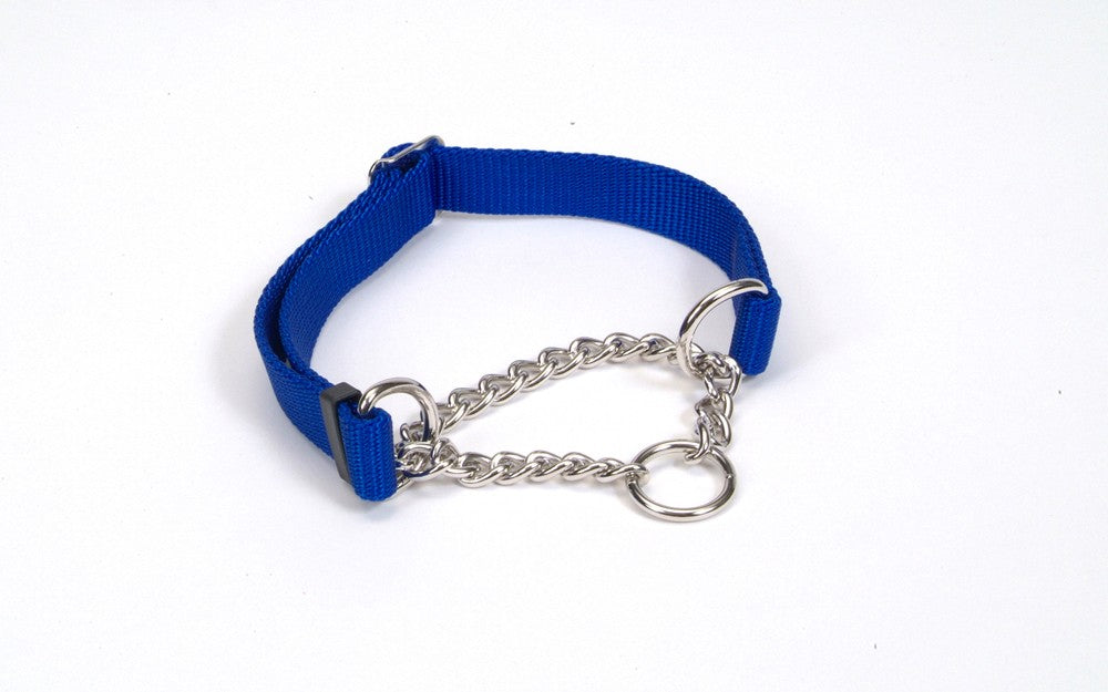 Check-Choke Adjustable Check Training Dog Collar Blue 1ea/5/8 In X 10-14 in for your Pet Dog with Pet Store X.