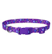 Styles Adjustable Dog Collar Purple X-Small 3/8 x 8-12 In