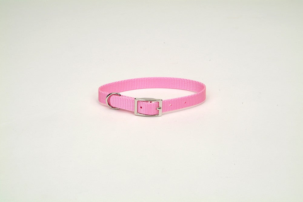 Coastal Single-Ply Nylon Collar Bright Pink 3/4X16In for your Pet Dog with Pet Store X.