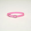 Coastal Single-Ply Nylon Collar Bright Pink 3/4X16In