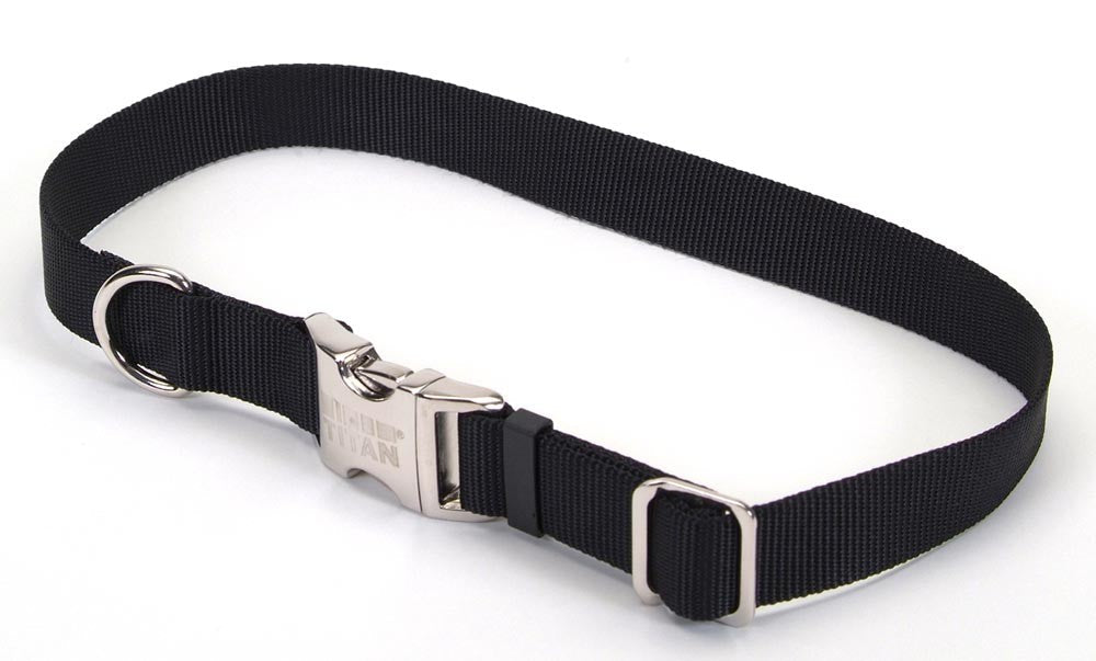 Coastal Adjustable Nylon Dog Collar with Titan Metal Buckle Black 1ea/3/4 In X 14-20 in for your Pet Dog with Pet Store X.