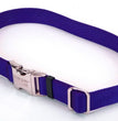 Coastal Adjustable Nylon Dog Collar with Titan Metal Buckle Blue 1ea/3/4 In X 14-20 in for your Pet Dog with Pet Store X.