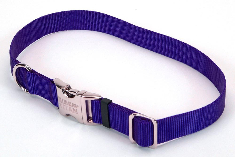 Coastal Adjustable Nylon Dog Collar with Titan Metal Buckle Blue 1ea/3/4 In X 14-20 in for your Pet Dog with Pet Store X.