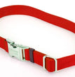 Coastal Adjustable Nylon Dog Collar with Titan Metal Buckle Red 1ea/3/4 In X 14-20 in