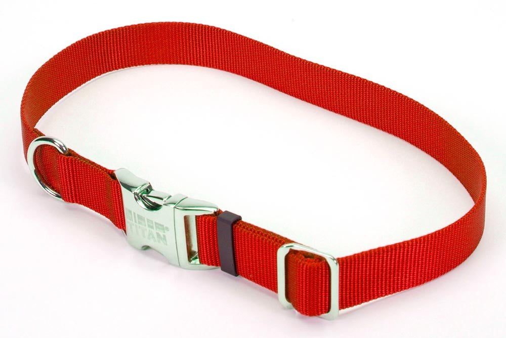 Coastal Adjustable Nylon Dog Collar with Titan Metal Buckle Red 1ea/3/4 In X 14-20 in for your Pet Dog with Pet Store X.