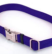 Coastal Adjustable Nylon Dog Collar with Titan Metal Buckle Blue 1ea/1 In X 18-26 in