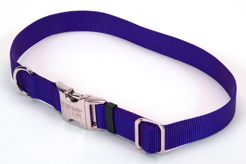 Coastal Adjustable Nylon Dog Collar with Titan Metal Buckle Blue 1ea/1 In X 18-26 in