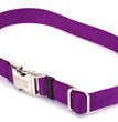 Coastal Adjustable Nylon Collar With Coastal Titan Metal Buckle Purple 1X18-26In