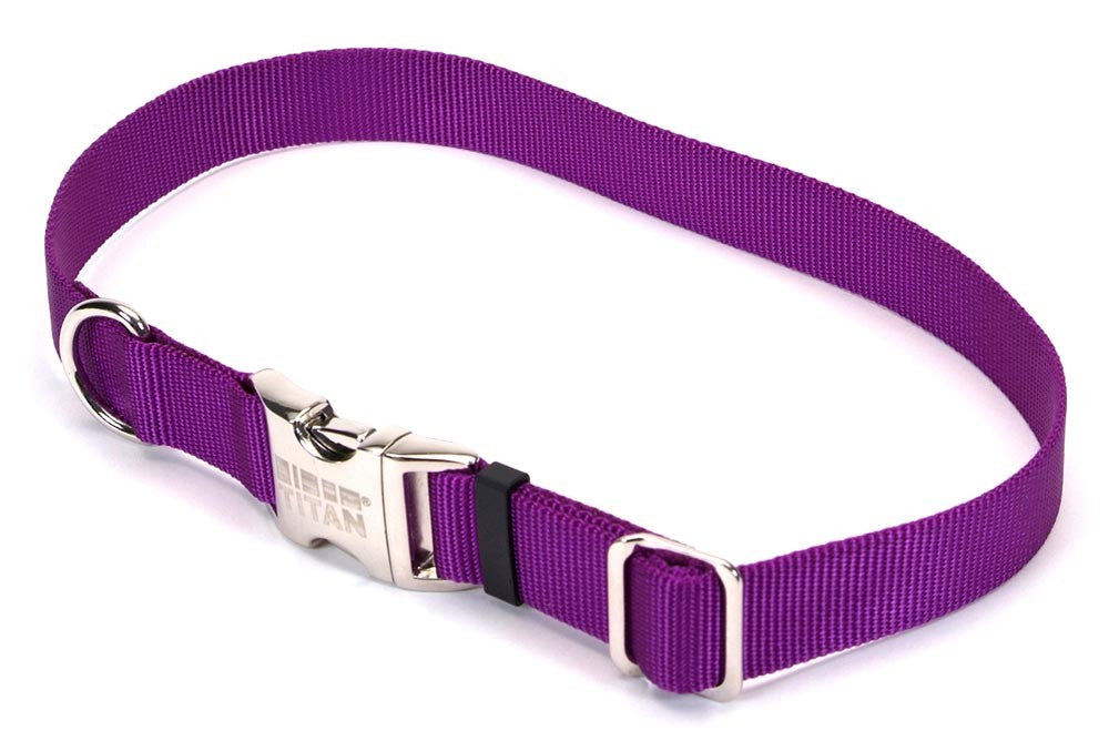 Coastal Adjustable Nylon Collar With Coastal Titan Metal Buckle Purple 1X18-26In for your Pet Dog with Pet Store X.