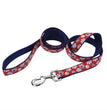 Ribbon Nylon Dog Leash Red 1ea/1 In X 6 ft