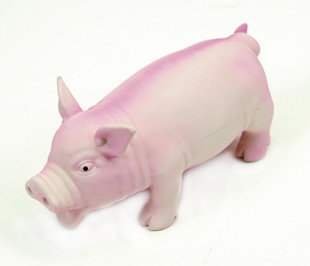 Coastal Rascals Latex Toy Pig 75In for your Pet Dog with Pet Store X.