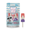 Pup Ice Rocket Lollies Strawberry/Blueberry 2 Pk