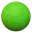 Spot Barrett Ball Dog Toy Green 1ea/5 in, LG