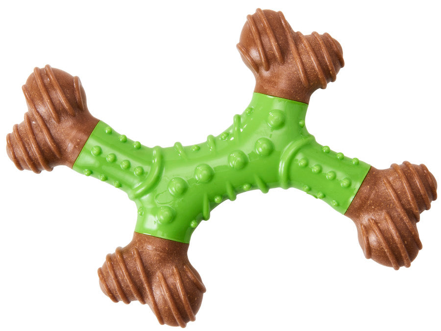 Bam-Bone Dental X-Bone Dog Toy Green/Brown 1ea/6 in for your Pet Dog with Pet Store X.