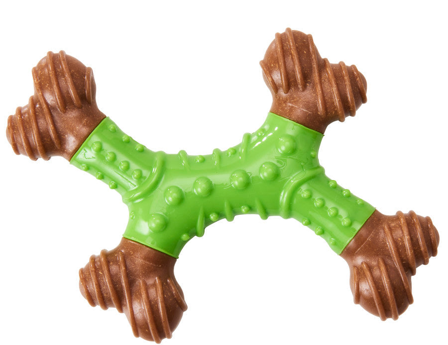 Bam-Bone Dental X-Bone Dog Toy Green/Brown 1ea/8 in for your Pet Dog with Pet Store X.