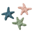 Earth Starfish 6" Assorted