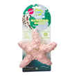 Earth Starfish 6" Assorted