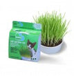 Van Ness Plastics Pureness Oat Garden Kit 1ea/4 oz