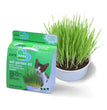 Van Ness Plastics Pureness Oat Garden Kit 1ea/4 oz